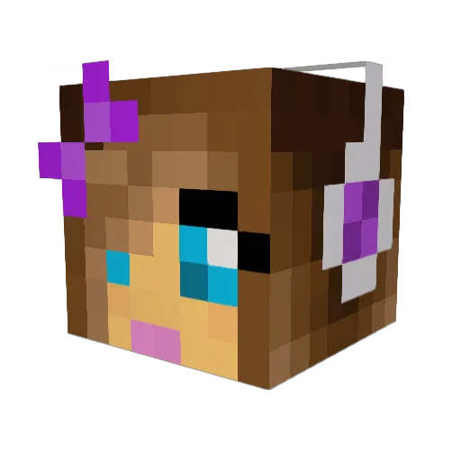 pali99 Minecraft avatar head, 3D render