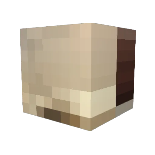 paliin Minecraft avatar head, 3D render