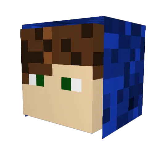 palindr0m Minecraft avatar head, 3D render