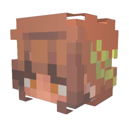 pallasg Minecraft avatar head, 3D render