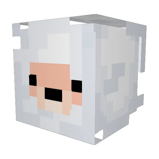 pallecgln Minecraft avatar head, 3D render