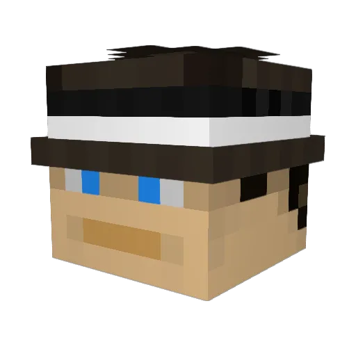 pallium Minecraft avatar head, 3D render