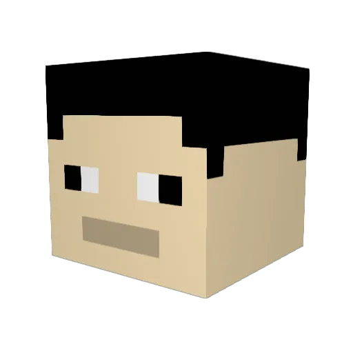 palmer927 Minecraft avatar head, 3D render