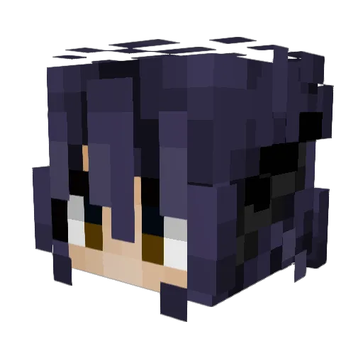 palmplayers Minecraft avatar head, 3D render