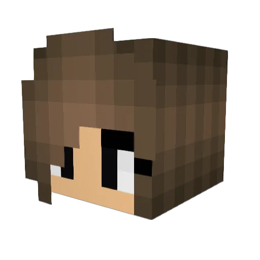 paloma12 Minecraft avatar head, 3D render