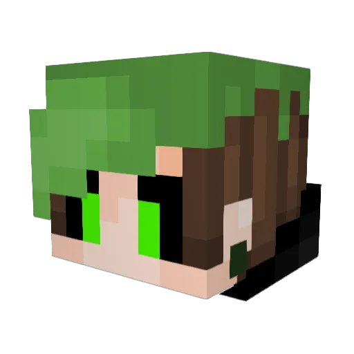 palox03 Minecraft avatar head, 3D render
