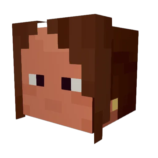 palplays1 Minecraft avatar head, 3D render