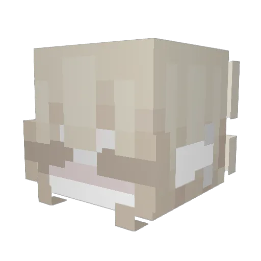 palqqma Minecraft avatar head, 3D render