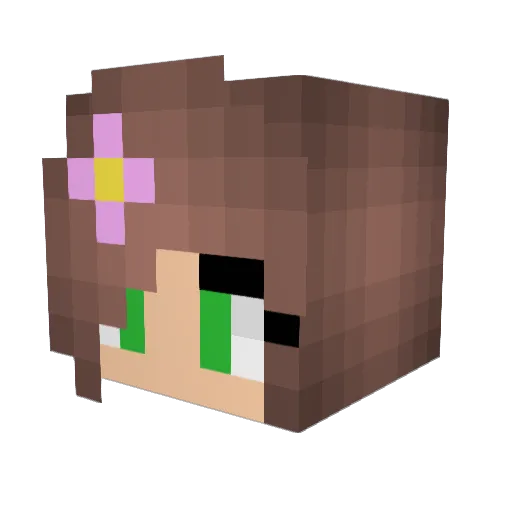 palupanda Minecraft avatar head, 3D render