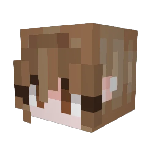 palxcat Minecraft avatar head, 3D render