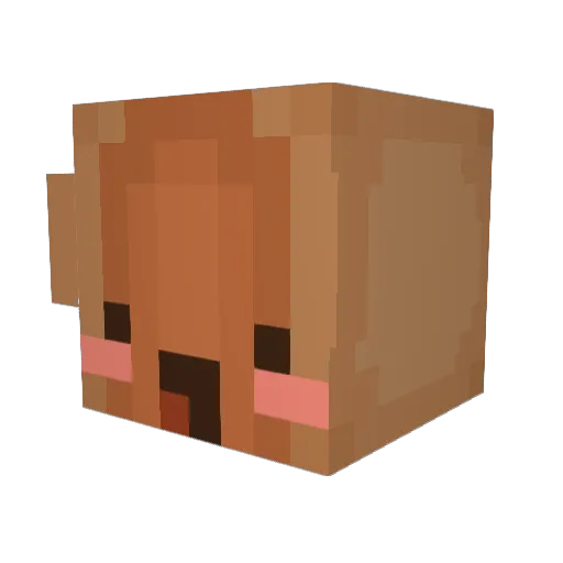 pami_go0d Minecraft avatar head, 3D render