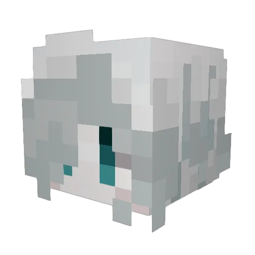 pan_jiang Minecraft avatar head, 3D render