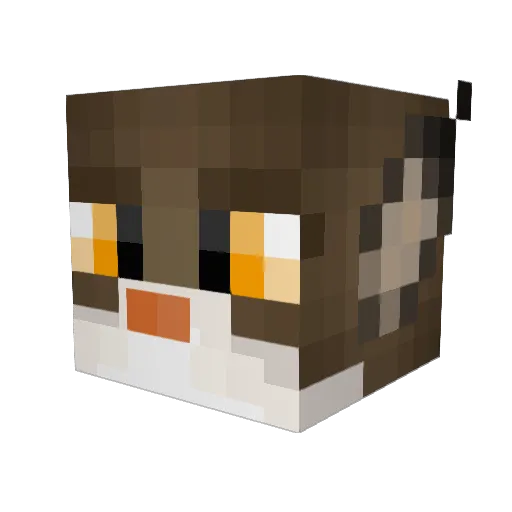 pan_kelner Minecraft avatar head, 3D render
