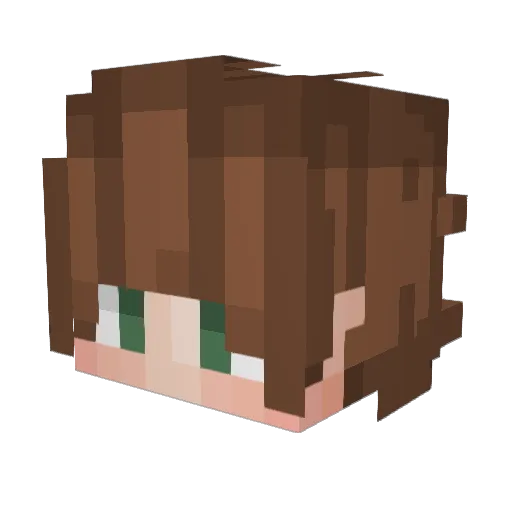 pan_melon Minecraft avatar head, 3D render