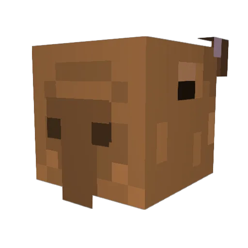 panafino Minecraft avatar head, 3D render