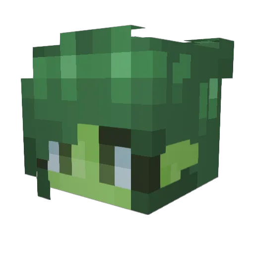 pancake05314 Minecraft avatar head, 3D render