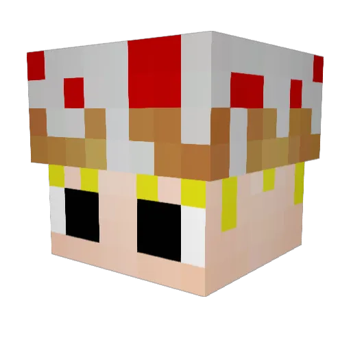 pancake223 Minecraft avatar head, 3D render