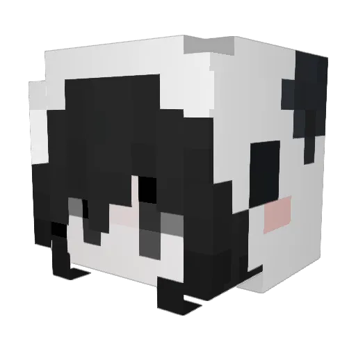pancakemaddie Minecraft avatar head, 3D render