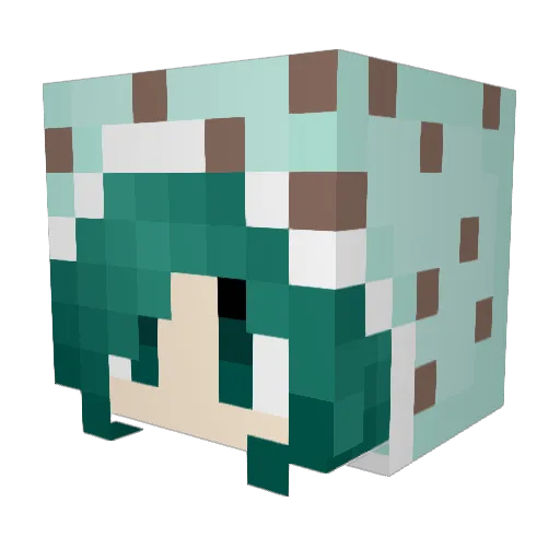 pancakepaw Minecraft avatar head, 3D render