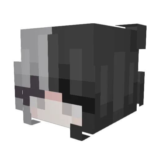 panchillll Minecraft avatar head, 3D render