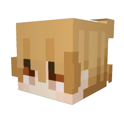 panchotoco Minecraft avatar head, 3D render