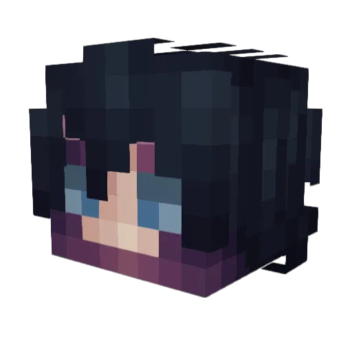 panconpalta2 Minecraft avatar head, 3D render