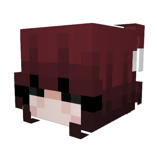 panconpescado Minecraft avatar head, 3D render