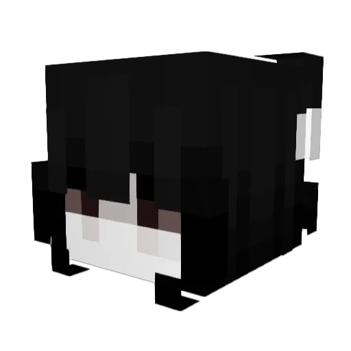 panda41593 Minecraft avatar head, 3D render