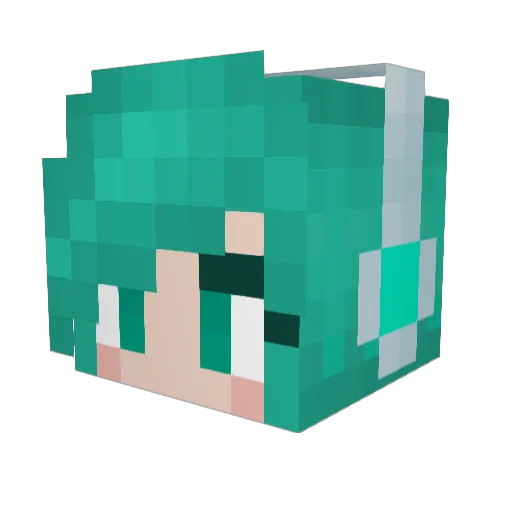 panda46812 Minecraft avatar head, 3D render