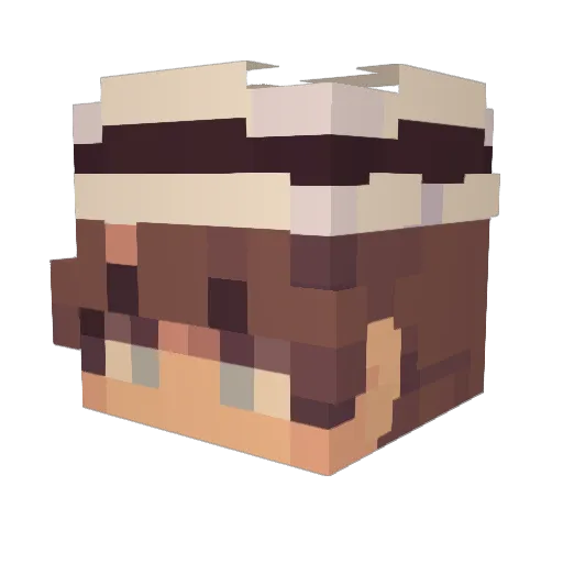 panda89287 Minecraft avatar head, 3D render