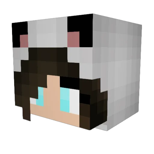 panda_2803 Minecraft avatar head, 3D render