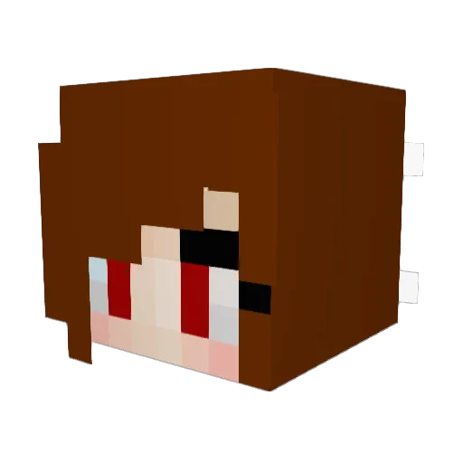 panda_assasin9 Minecraft avatar head, 3D render