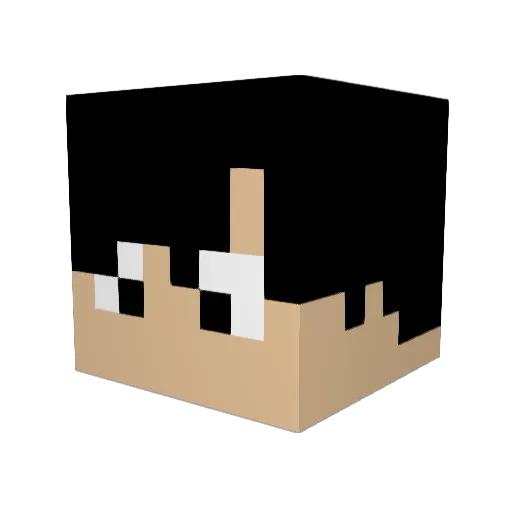 panda_man6928 Minecraft avatar head, 3D render