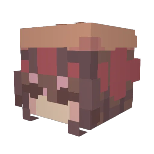 panda_numnum Minecraft avatar head, 3D render