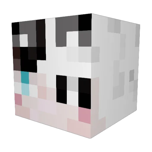 pandaah6878 Minecraft avatar head, 3D render