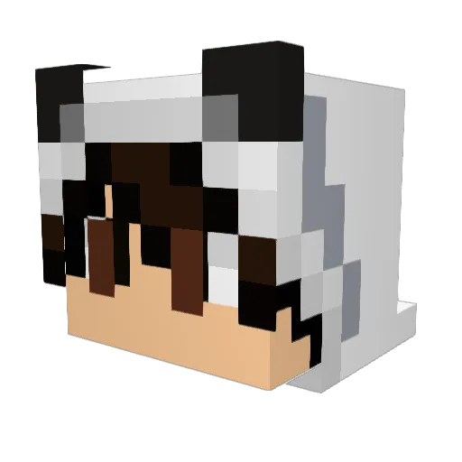 pandaas404 Minecraft avatar head, 3D render