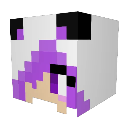 pandabear145 Minecraft avatar head, 3D render