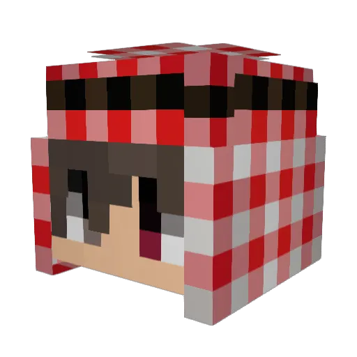 pandabier538 Minecraft avatar head, 3D render
