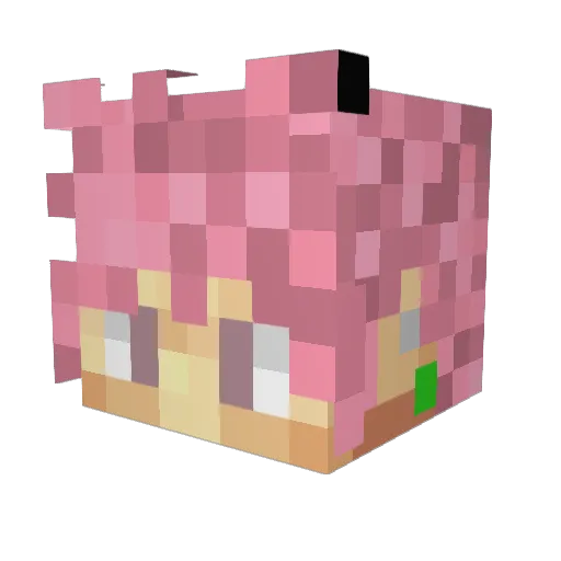 pandabot24 Minecraft avatar head, 3D render
