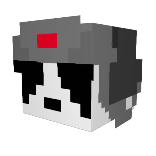 pandabro009 Minecraft avatar head, 3D render