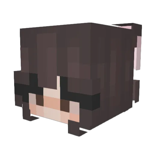 pandacatch22 Minecraft avatar head, 3D render