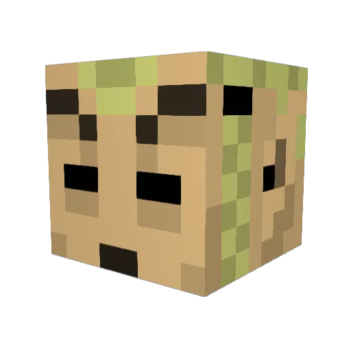 pandachieften Minecraft avatar head, 3D render