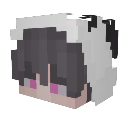 pandaeatscake Minecraft avatar head, 3D render