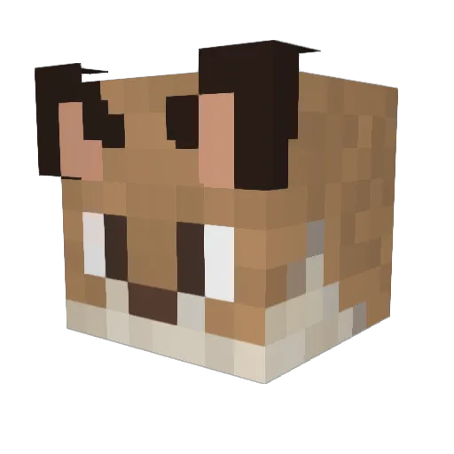 pandafutter_ Minecraft avatar head, 3D render