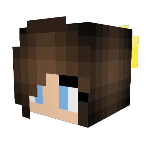 pandagirl10163 Minecraft avatar head, 3D render