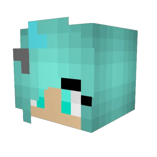 pandagirl1364 Minecraft avatar head, 3D render