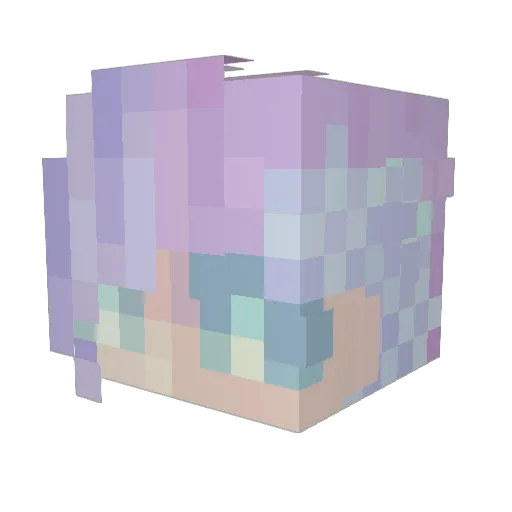 pandagirl2026 Minecraft avatar head, 3D render
