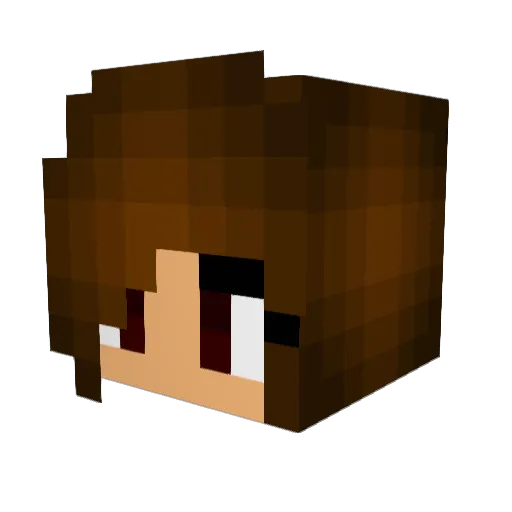 pandagirl206 Minecraft avatar head, 3D render
