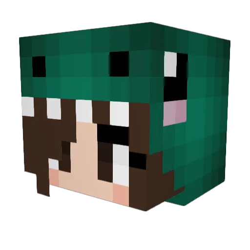 pandagirl2299 Minecraft avatar head, 3D render