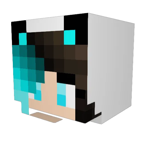 pandagirl396 Minecraft avatar head, 3D render
